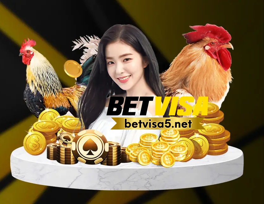 Giới thiệu chung về nhà cái BETVISA